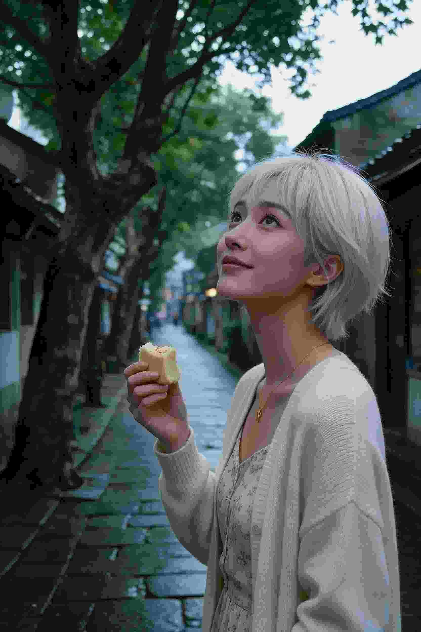 轮播4
